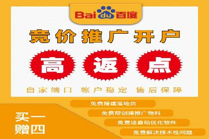 成功案例：一家初创企业如何通过百度关键词推广快速崛起